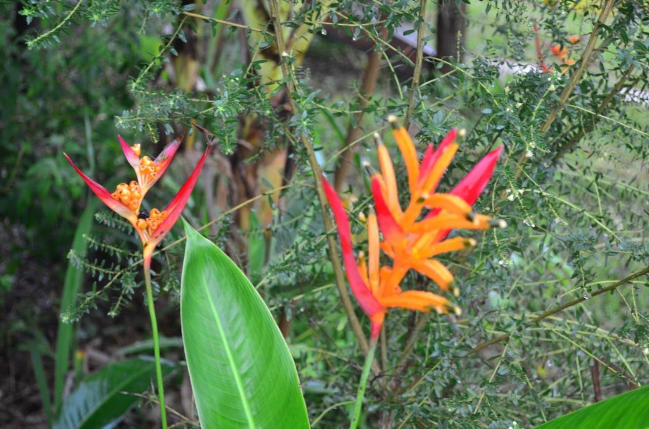 Chale Aconchegante, Pertinho Da Cidade E Conectada A Natureza Бразилиа Экстерьер фото