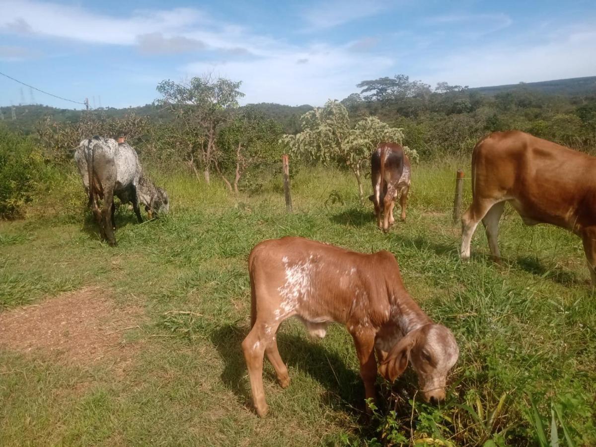 Chale Aconchegante, Pertinho Da Cidade E Conectada A Natureza Бразилиа Экстерьер фото